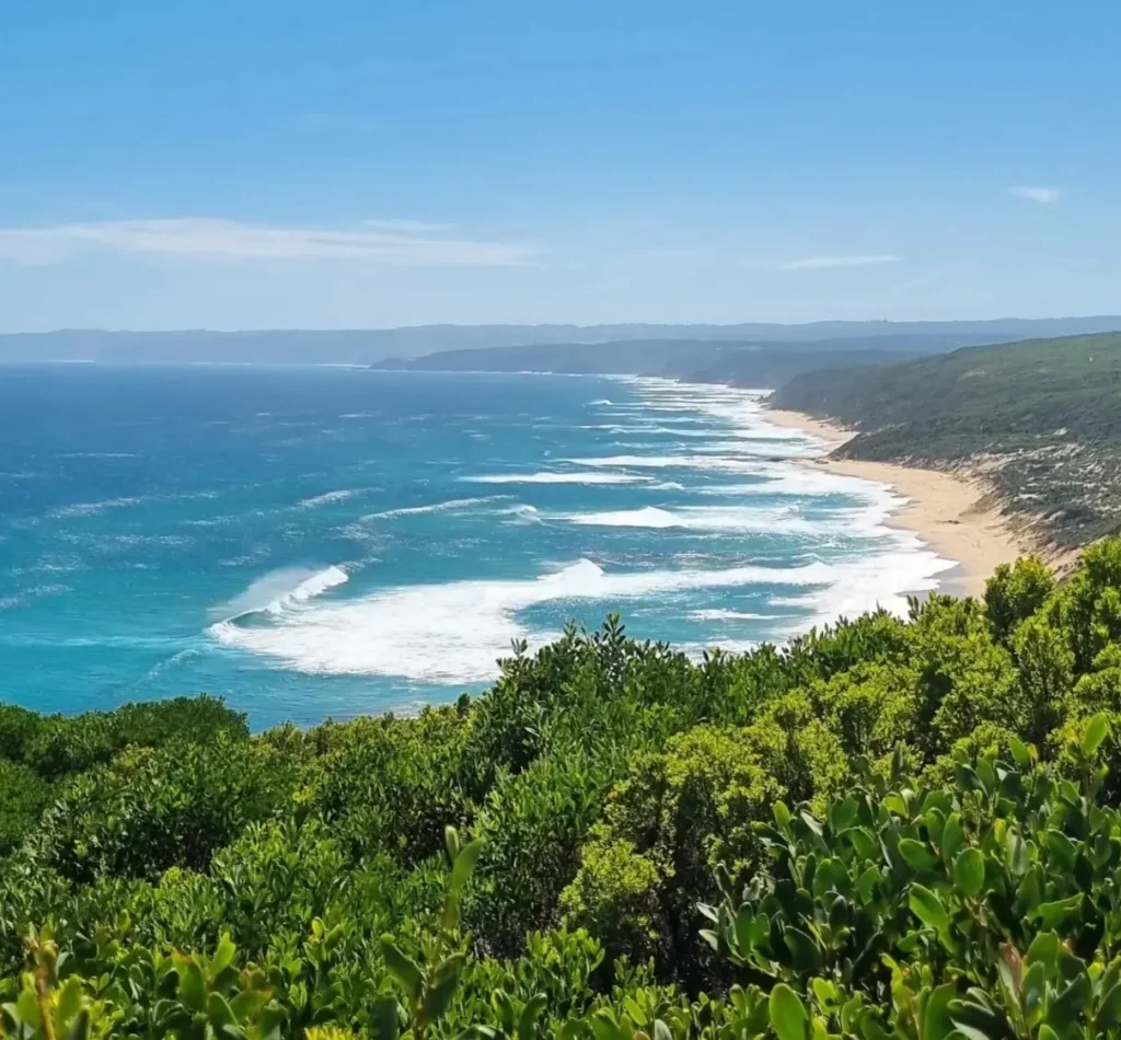 Cape Otway