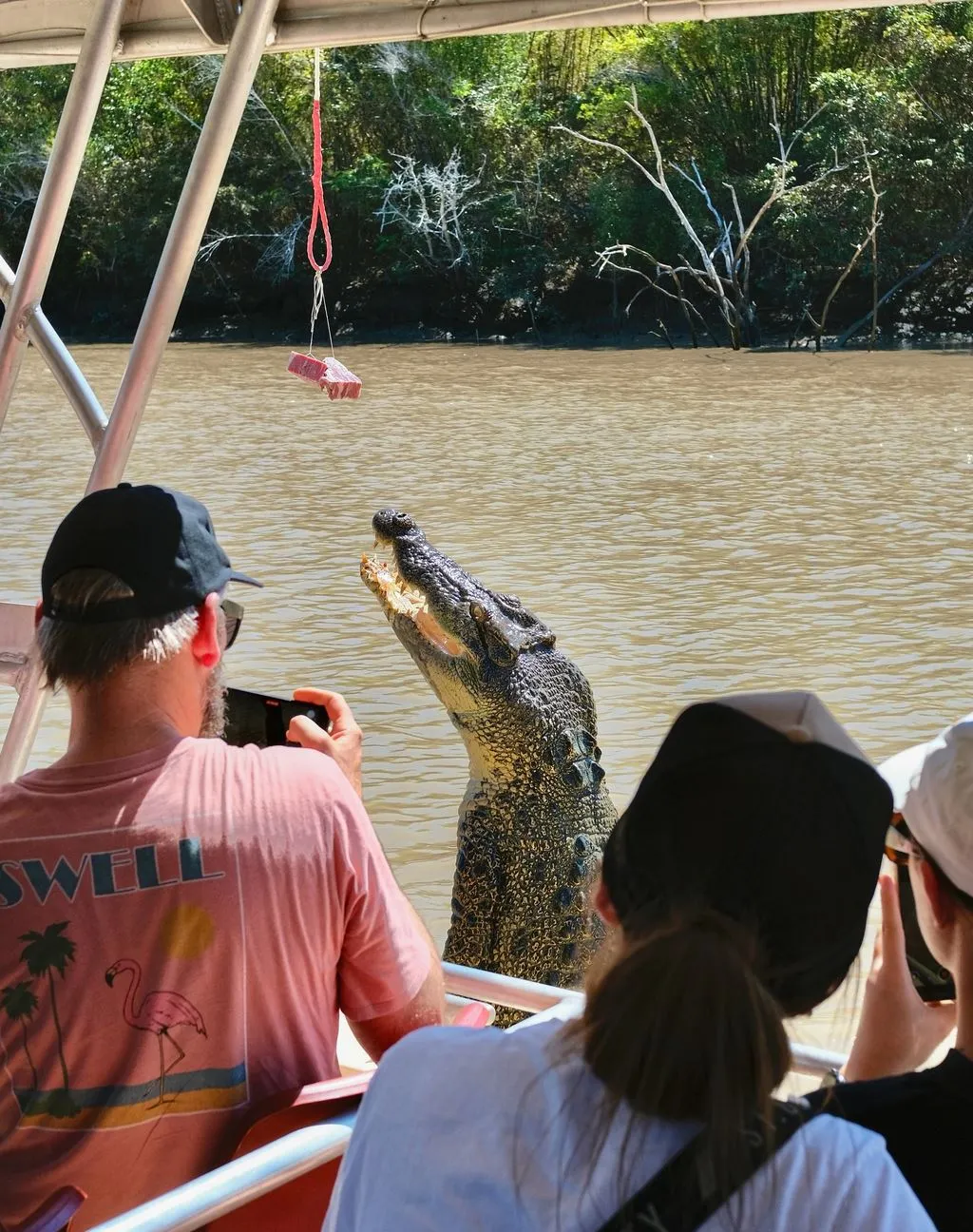 Croc Biology 101, Wet Season Mood Swings