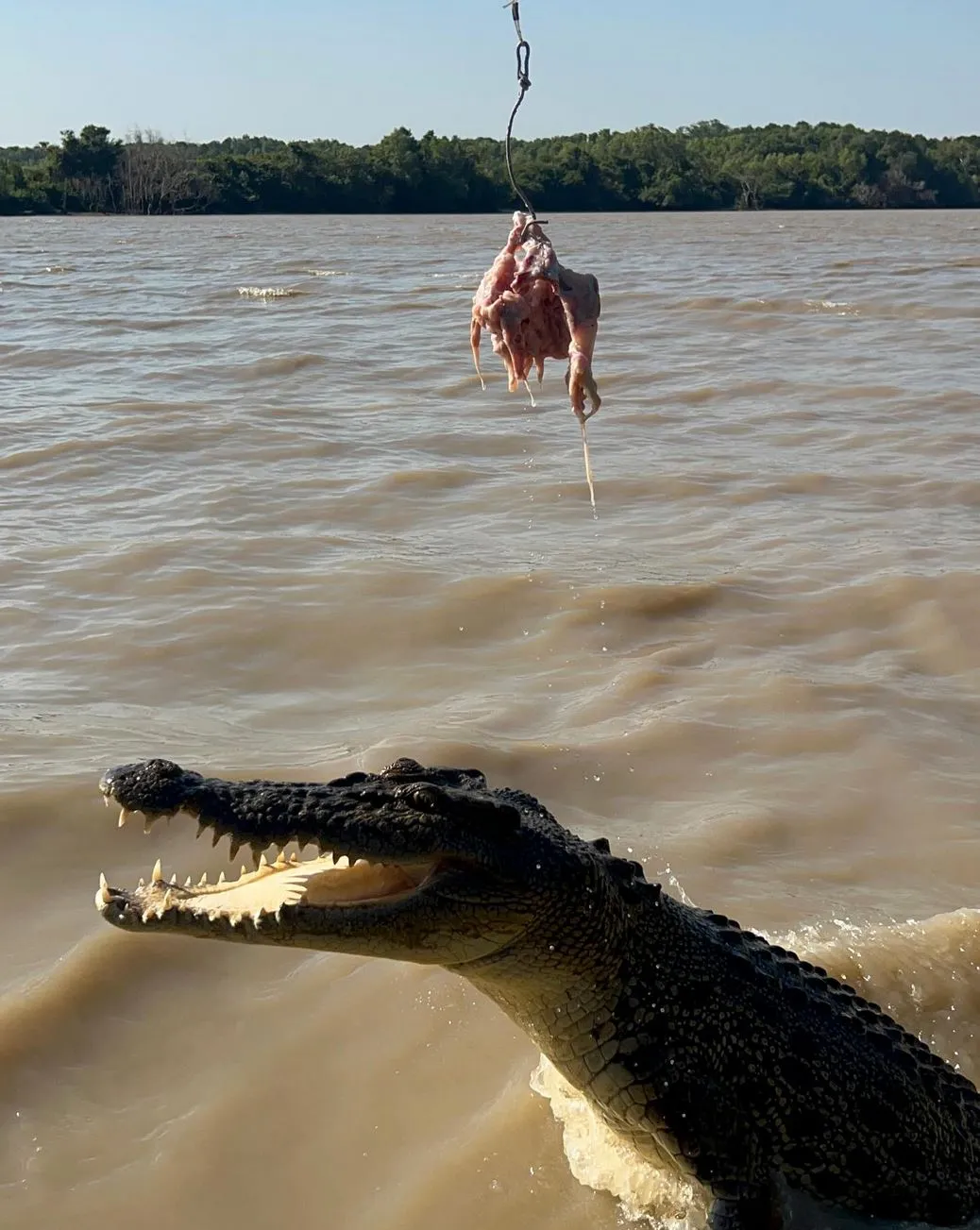 Do Jumping Crocodile Cruises Operate During the Wet Season