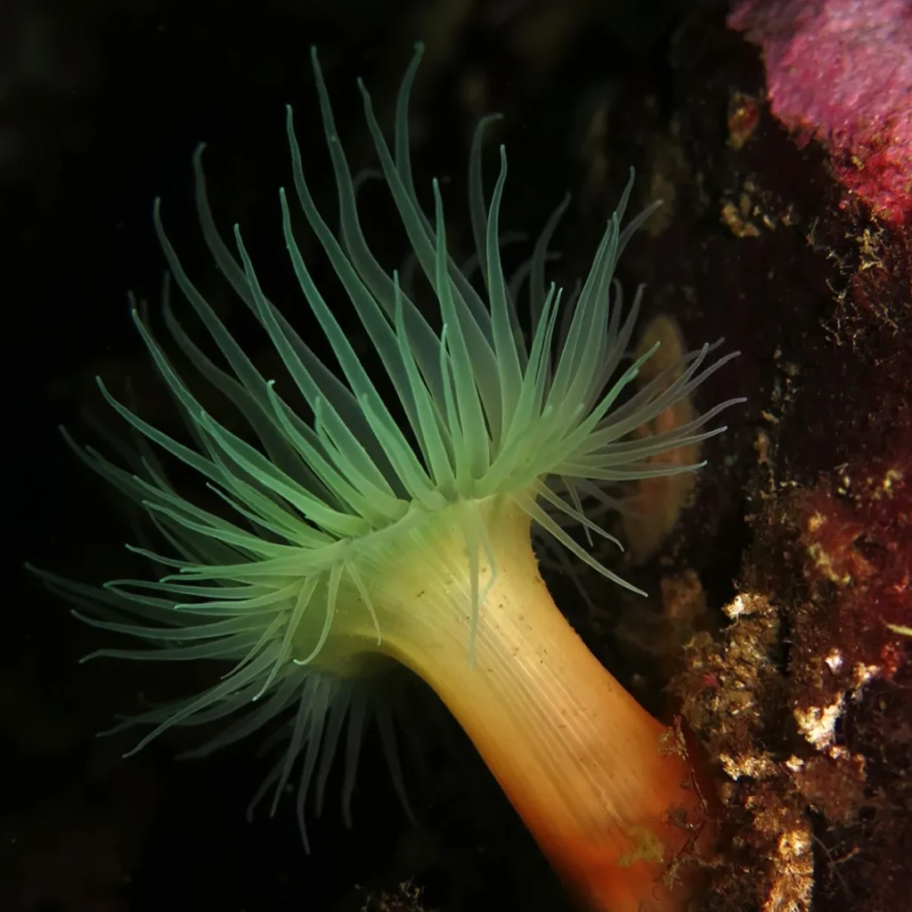 Marine National Parks