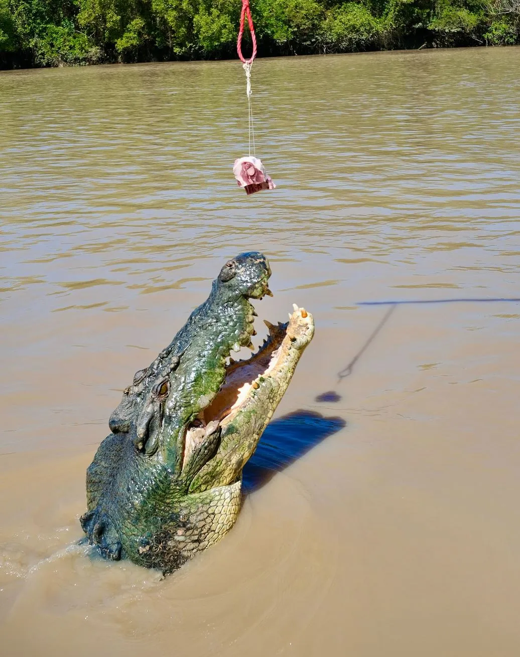 Staying Safe & Comfy on a Wet Season Croc Cruise