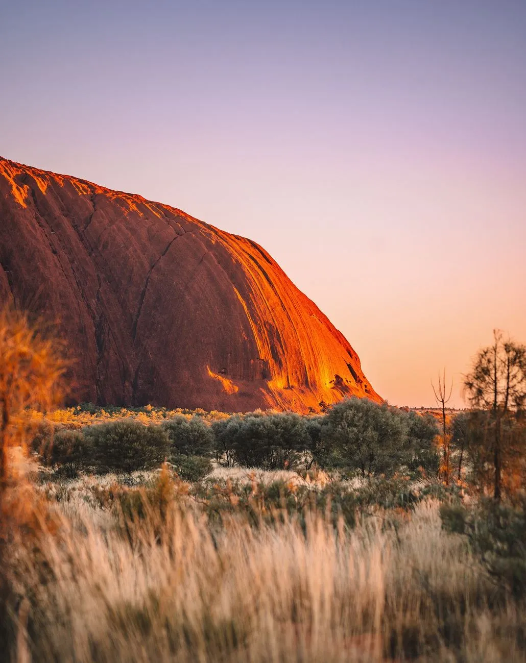 Uluru Tours