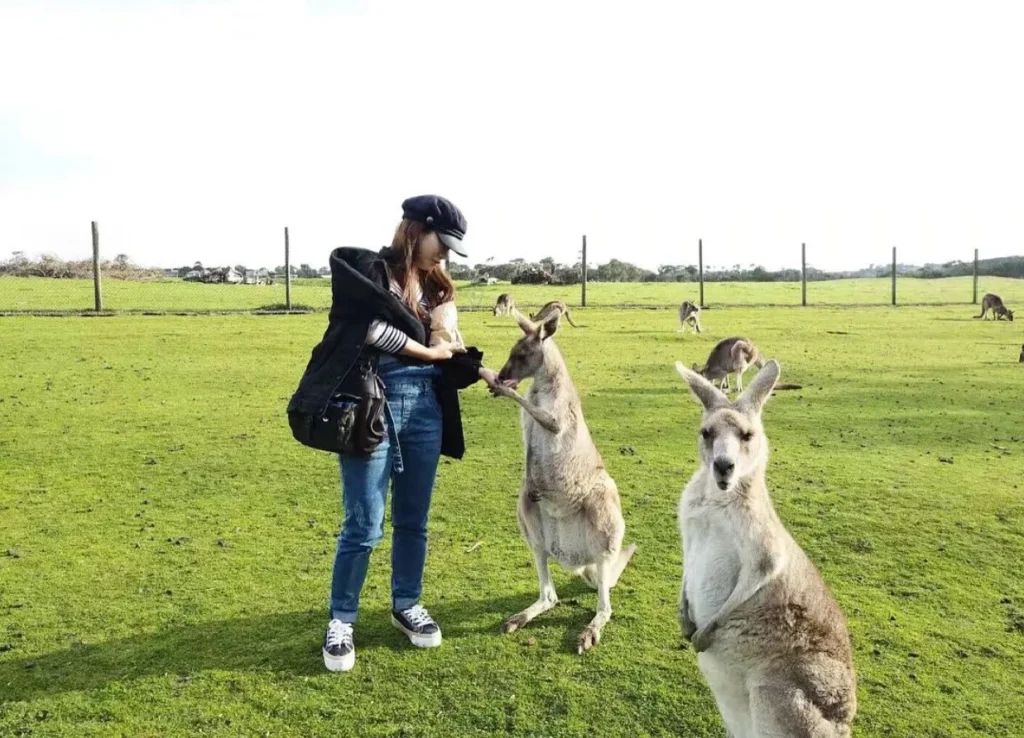 eco-tourism